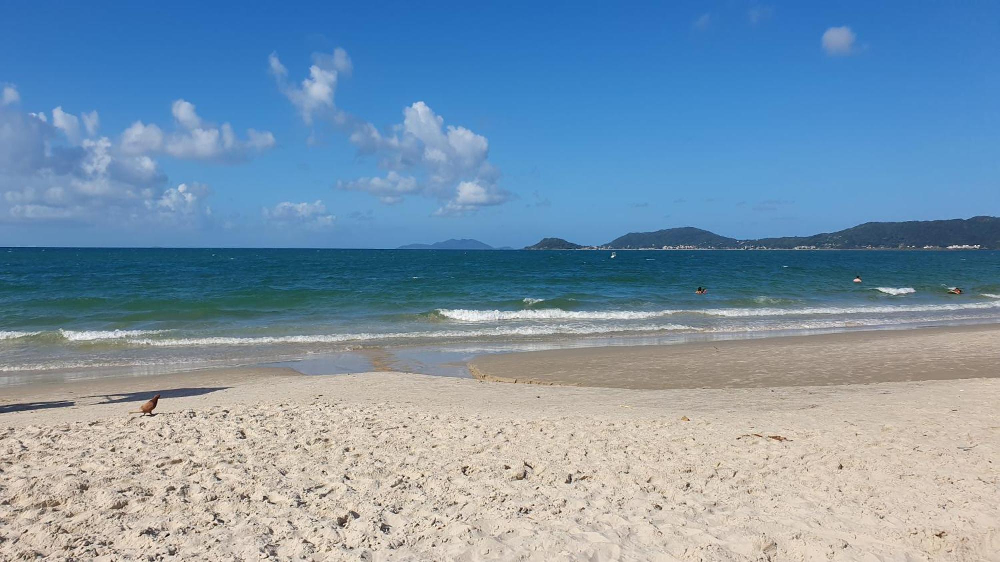 Casa Blanca Daire Florianópolis Dış mekan fotoğraf
